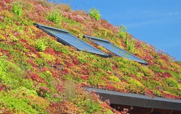 Ffordd Las living roof systems